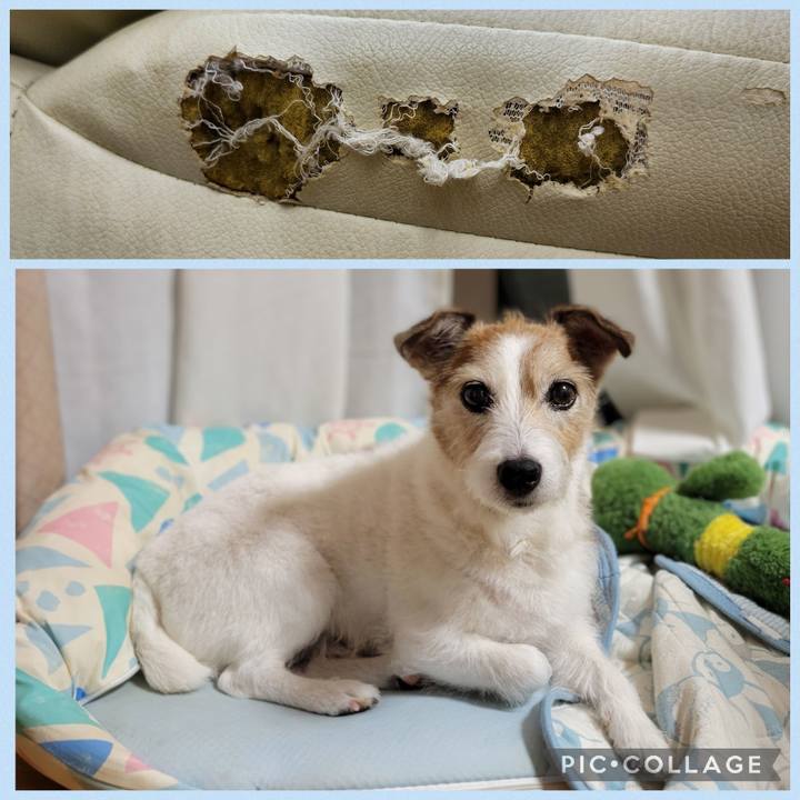 427808a9 7269 4b17 9b0f b12815cf06a9 1775798250692