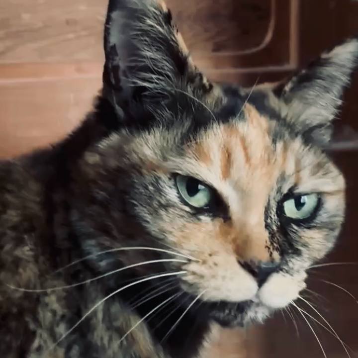 4278598a a6e5 449d b9a3 0a167ceb366a 1772622727793