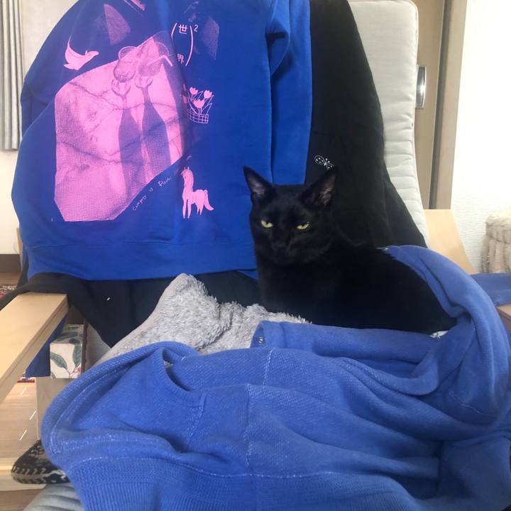 42786954 7733 4300 8180 7dfe4a543fda 1669805893375