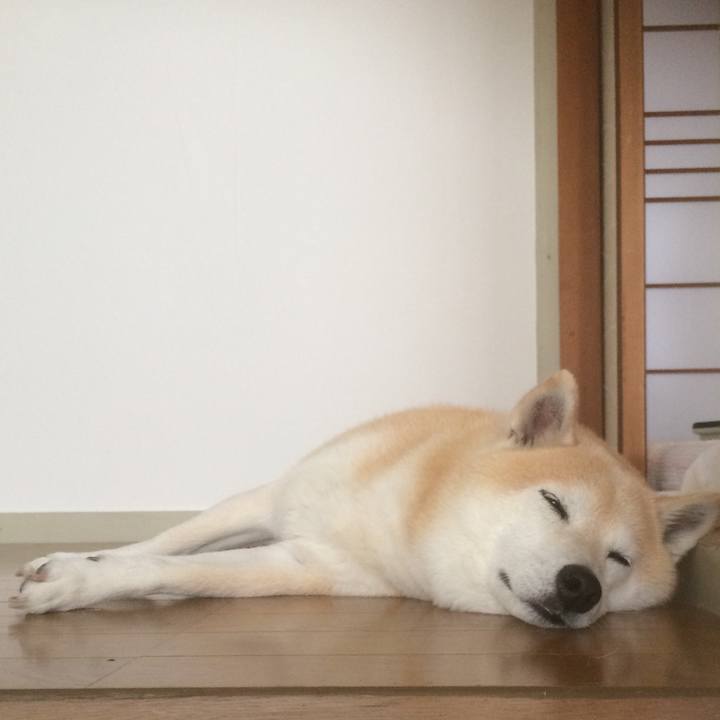 42789af1 219b 449e ab04 bbdcb4860354 1763965860846