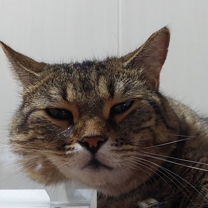 4278a623 c1da 43b6 8d94 70ed3fad5003 1661602452919