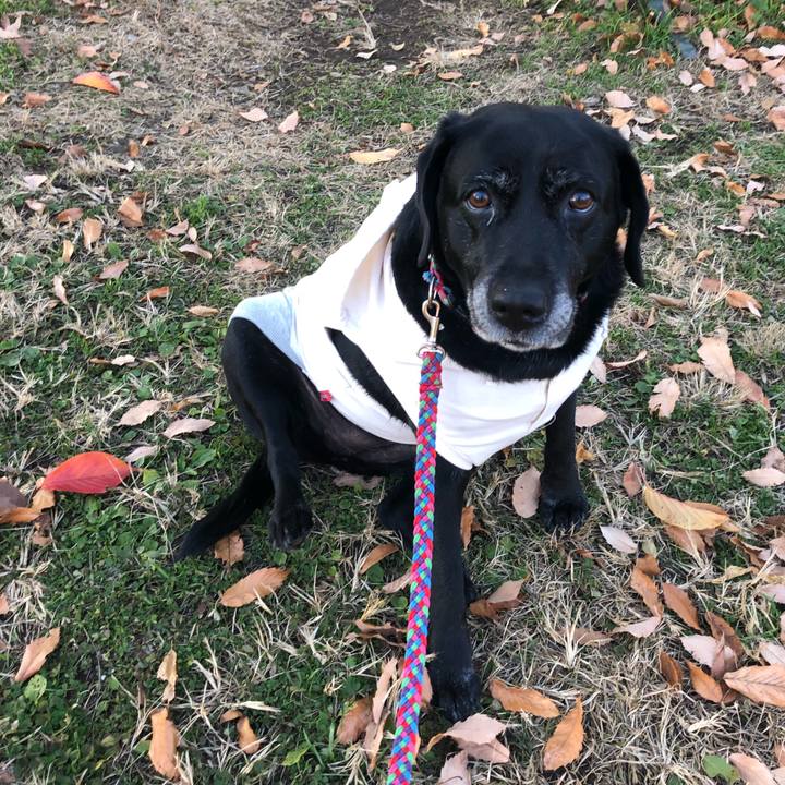 4278b217 5085 410b 87ed 73eb29a5e569 1576308766575