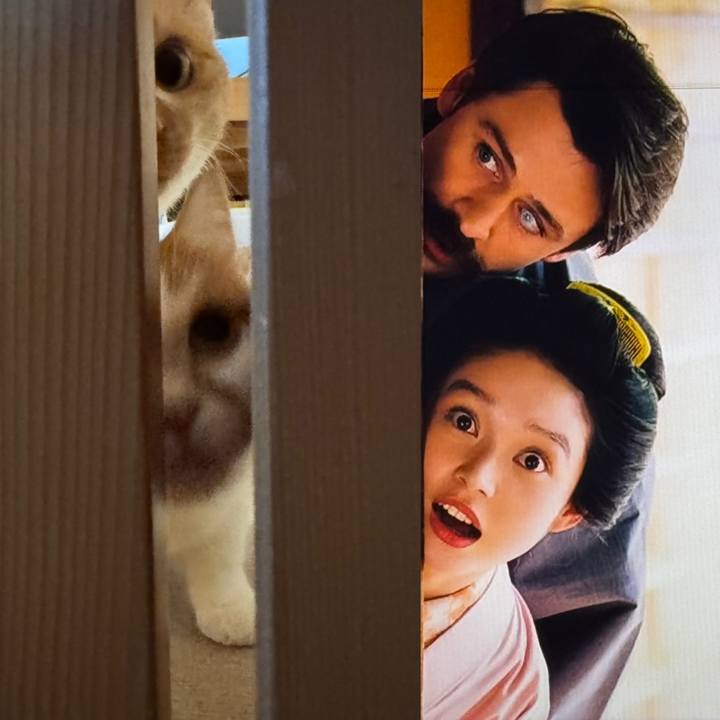 4278d3df c723 43bd 80a3 3a40bfe21683 1764930648878