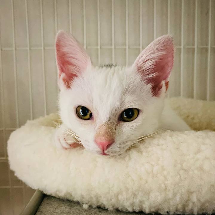 4278d62c a6b1 45d4 80dd b0d515bc3143 1708845825594