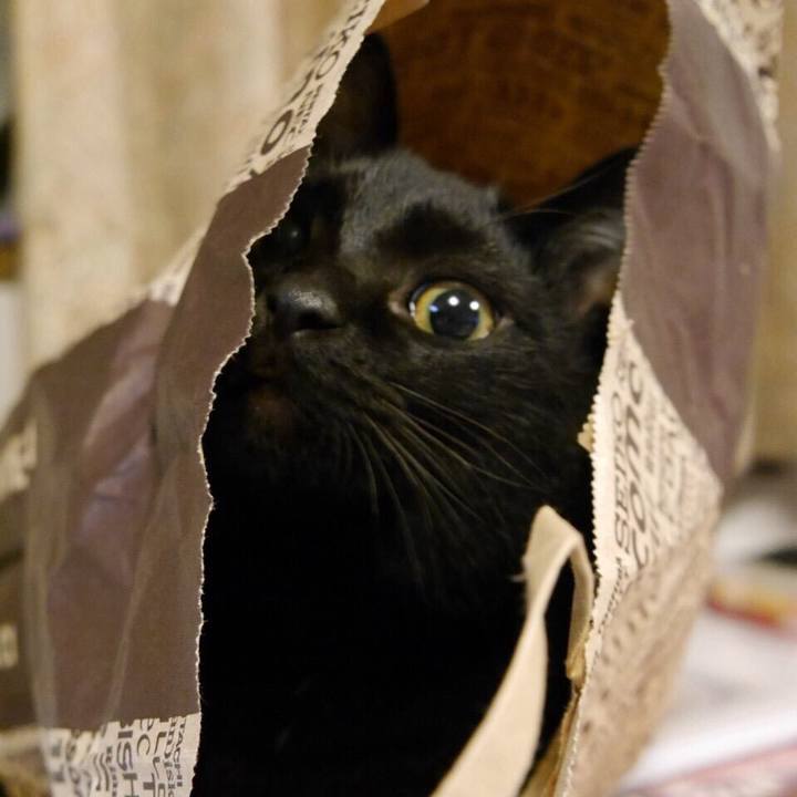 4278e203 e3f3 4082 9297 7fb19d13a1f3 1512820488572