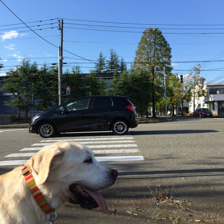 4278fc4d 3f65 456f 9c76 cc49c17f5a6f 1539498726792