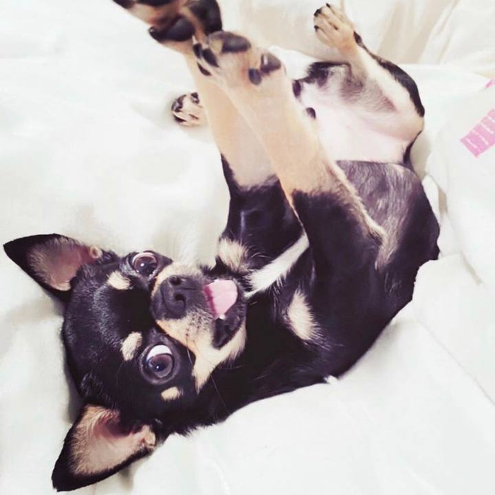 42791f00 b73e 4a2b aa00 ea80cf61e7eb 1598355775292