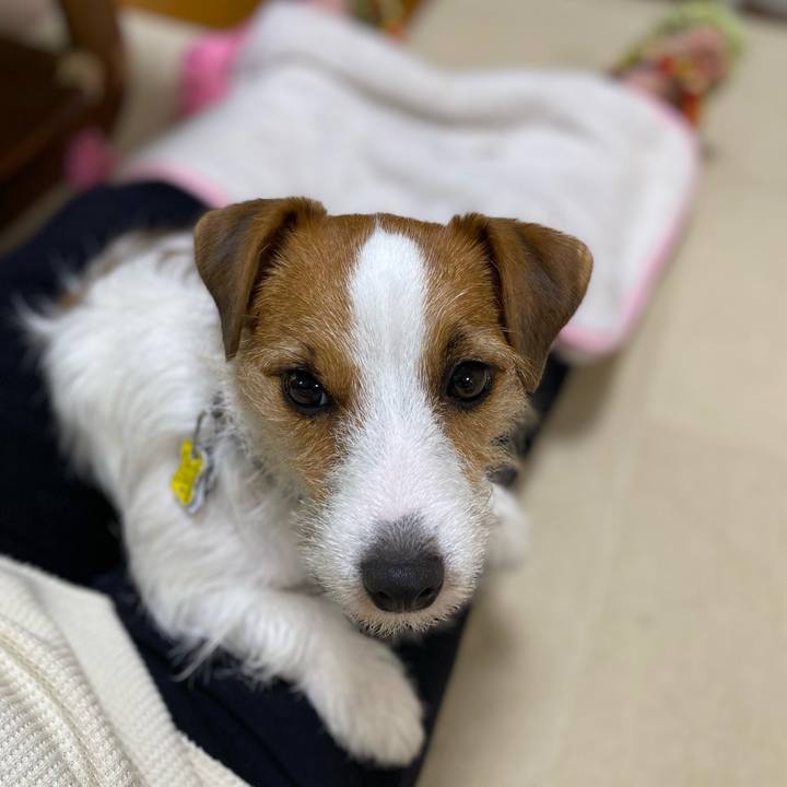 42794b67 55ef 4b63 b1b3 c508a9224f73 1665367661090