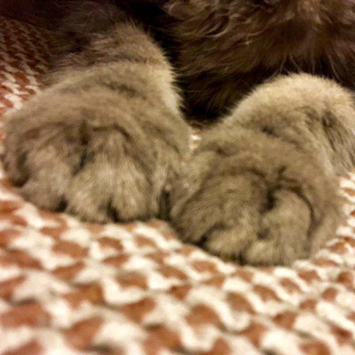 42797378 10db 4571 b6a3 7bf74d79cb41 1560688401707