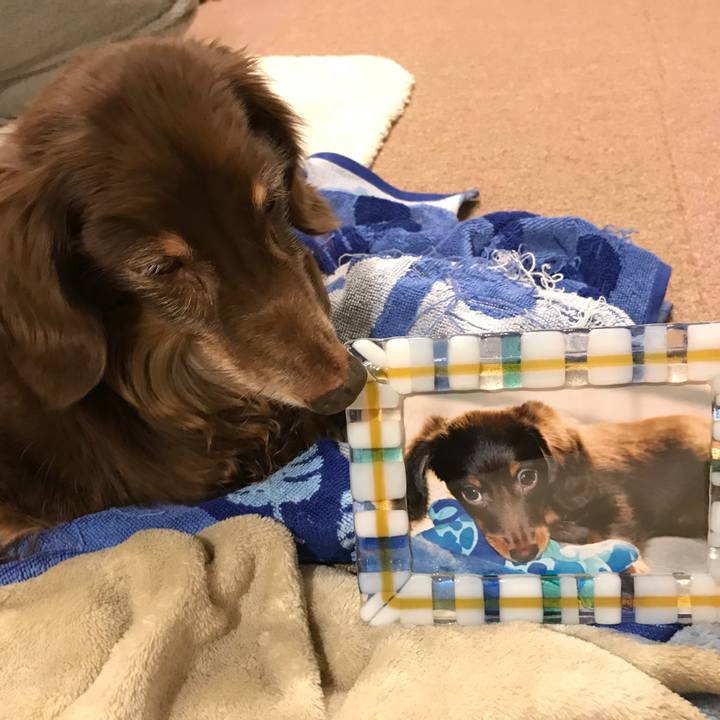 42798c7e 879d 4a17 83c0 1af4eeddd252 1511965143883