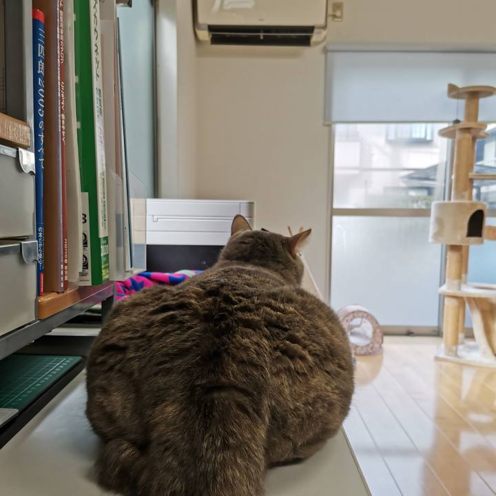 4279e4cf 5664 41ad a121 65dfc5097b64 1608003042969