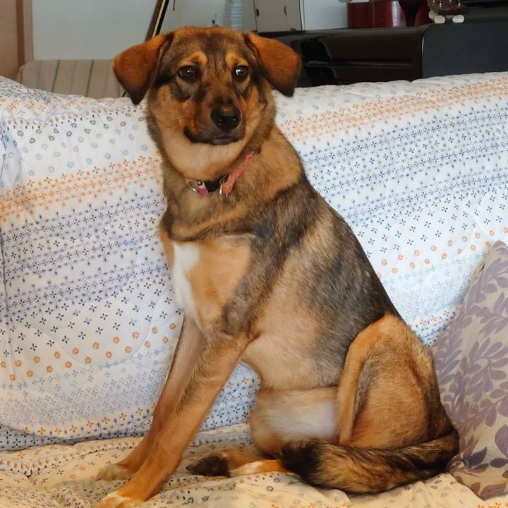 4279fb66 15ac 421a 9d4f 568eb664096c 1692594983837