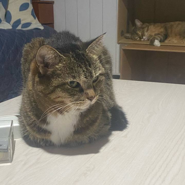 427a38e1 7122 4fbf ba80 935a61f369f6 1725377984624