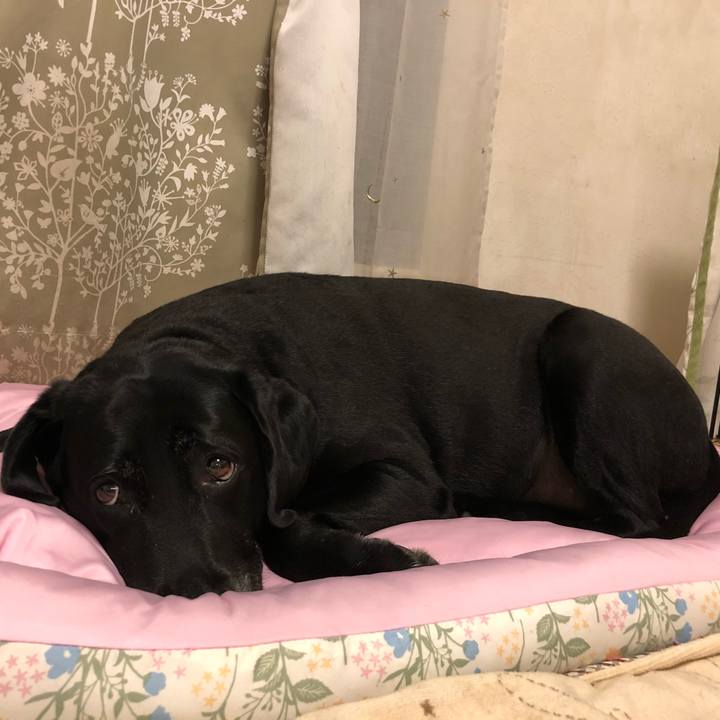 427a5916 b7b7 45ef aca1 348356bacdb9 1528811509068