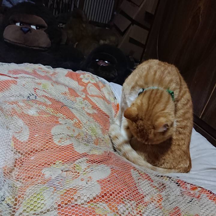 427a8cb8 d5d9 4d19 a40e 285631b47870 1586516483177