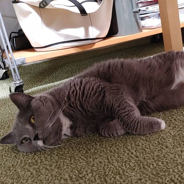 427ab560 75c4 4c31 9ddc efb2bbf4b7ed 1716901279654