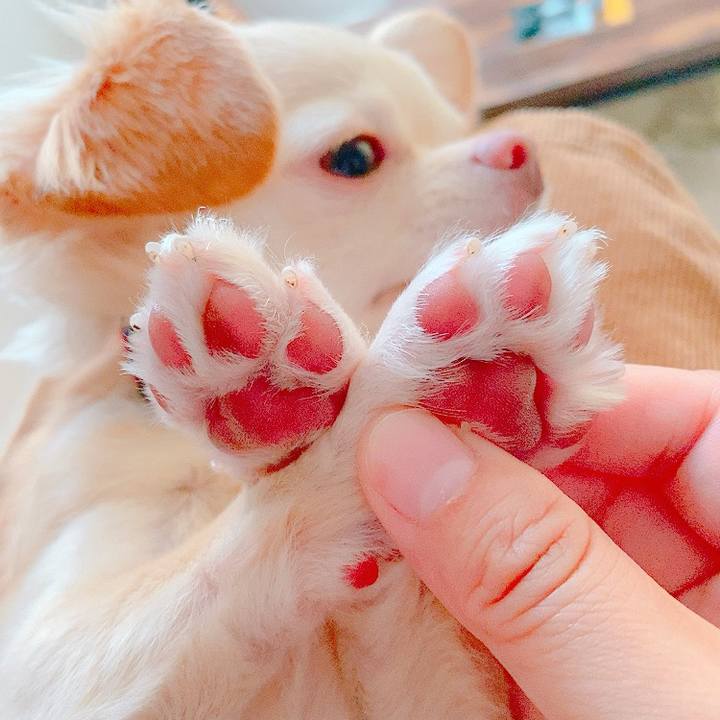 427ac3e6 edaa 4688 b0db 0491a13b5475 1632464761534