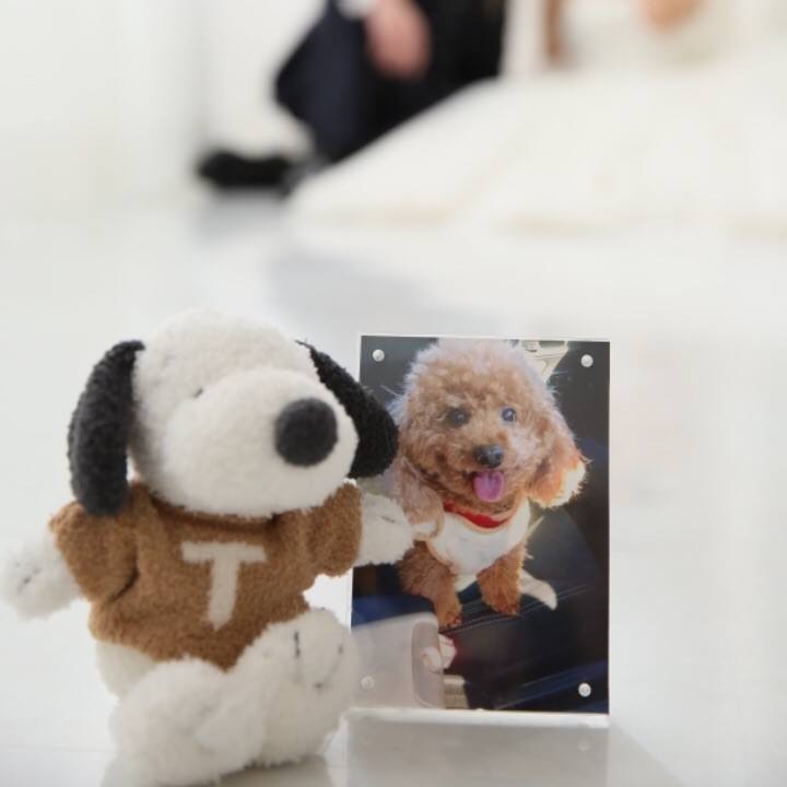 427b0bf1 cbfe 438a b81a a6c8a0db3ed6 1606912964671