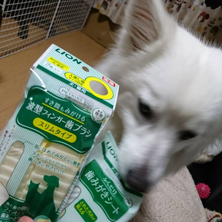 427b3f27 9229 4438 b561 6bd2ab71108e 1519136135373