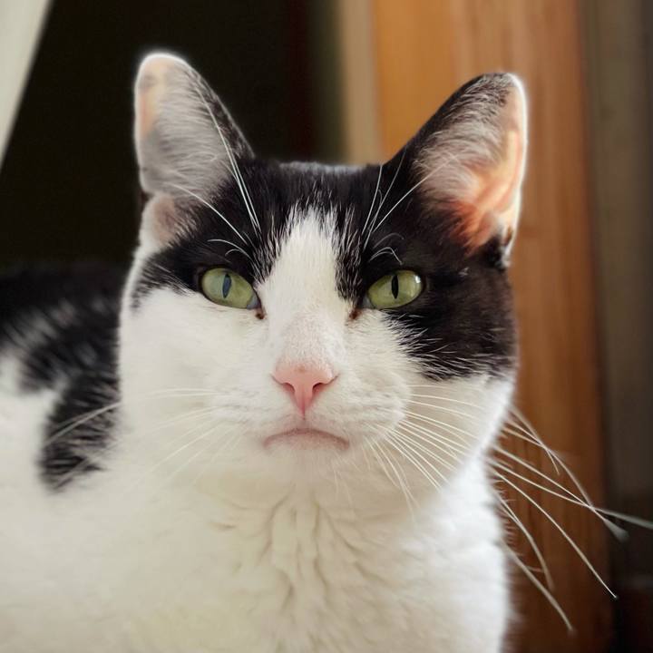 427b52a0 f704 4c29 a850 1b936f9daf0d 1624674241730