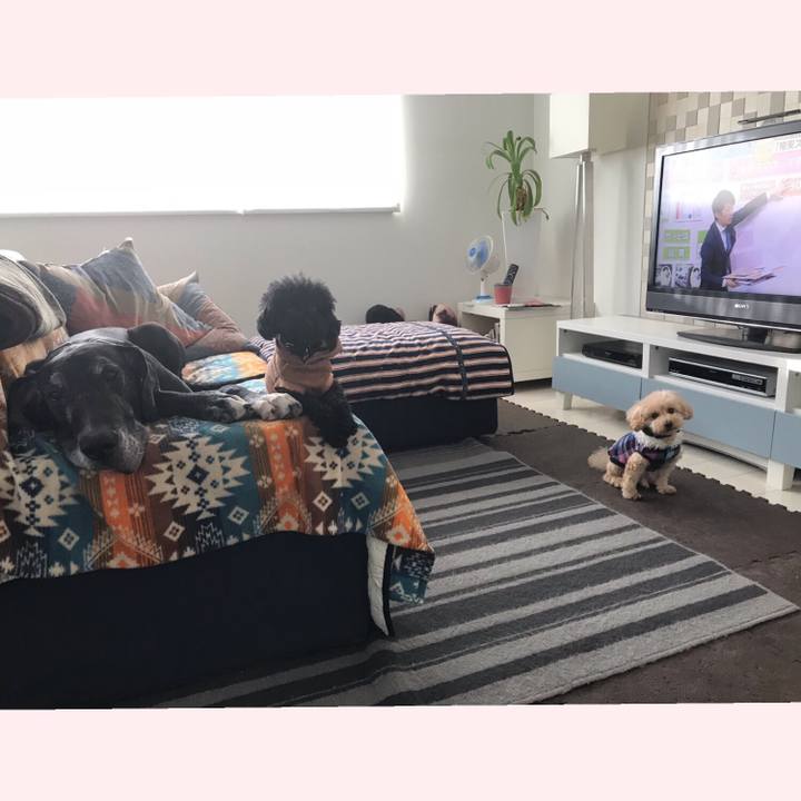 427bc85b 1ac9 4557 8c02 2fb830701915 1541630277633