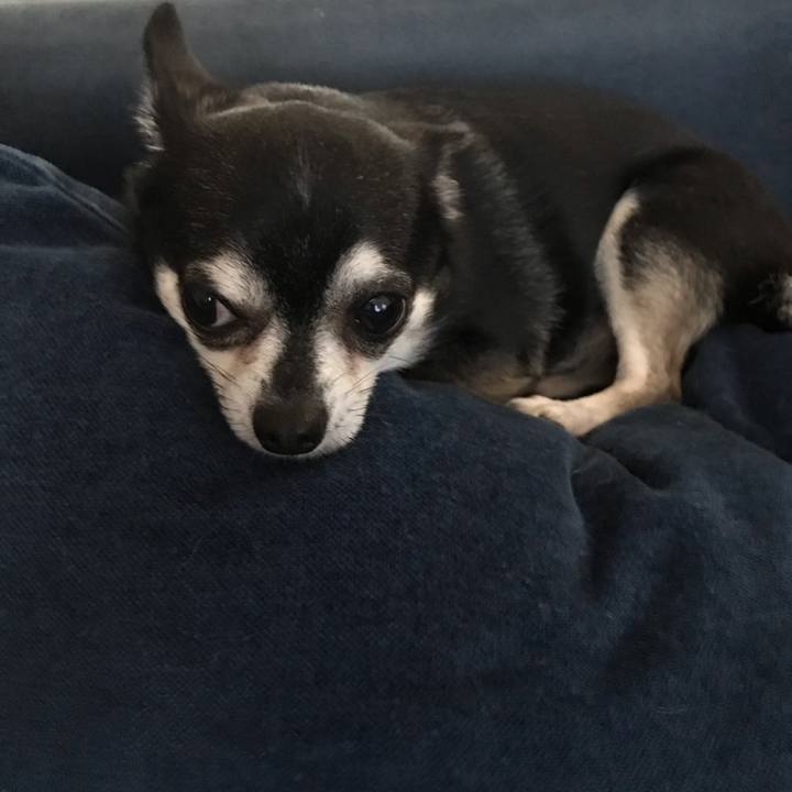 427c1569 5150 419b 889c 15b73deffe2f 1567118281269