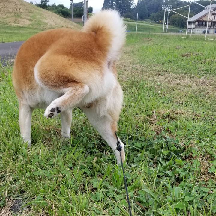 427c1d19 a0d1 40c1 8d5b e8cf95455c9a 1600332374650