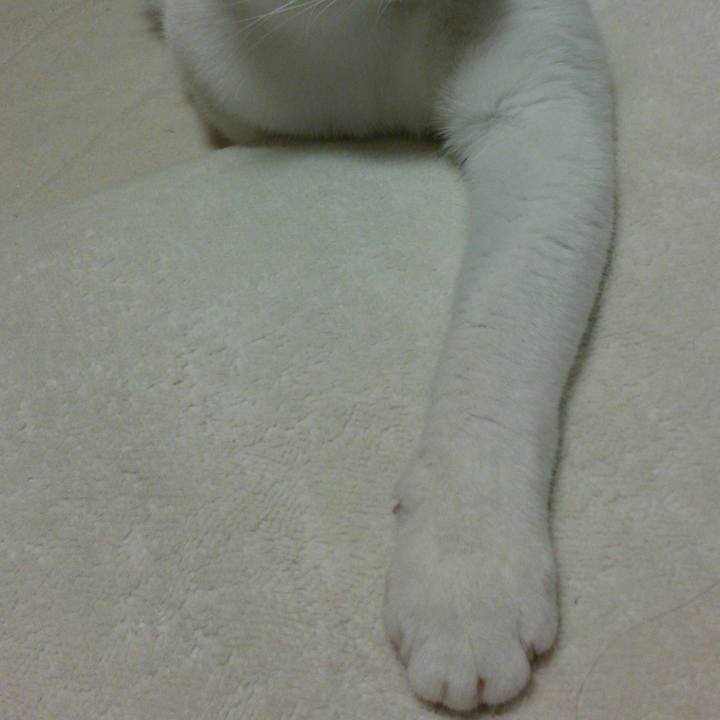 427c1fc6 f5e8 4529 ab76 dd2ec7f9f514 1513069976626