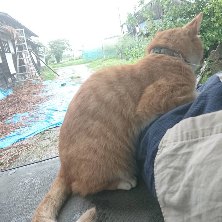 427c2822 aa6f 4dd1 b02e 2e73713a80c7 1594155446037