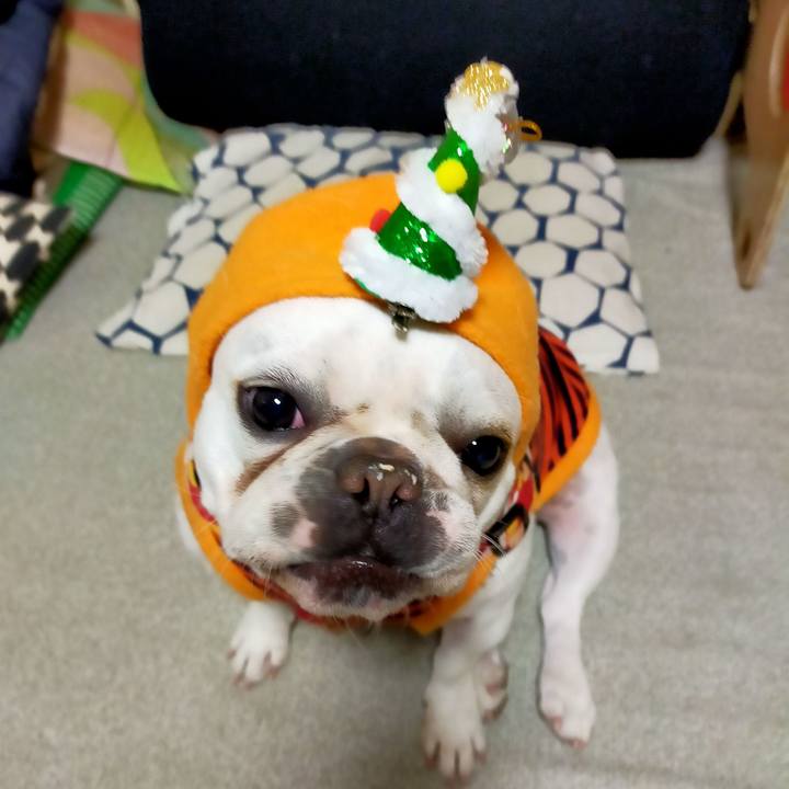 427c3031 8a9a 43fc 993c 0da3eb2f9c27 1640249624382