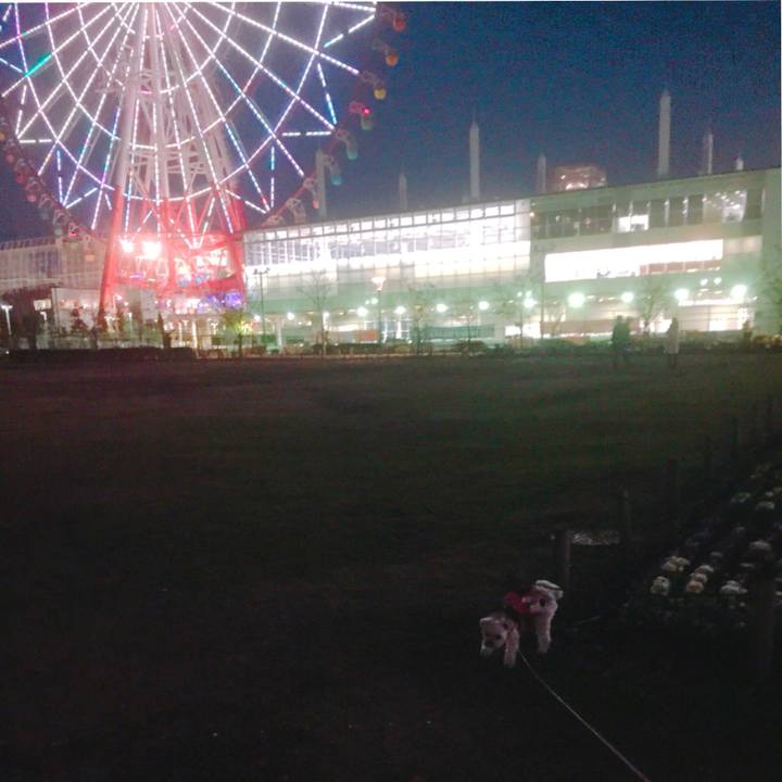 427c3cfa ea9a 435a bf4b a774ee9cdb63 1512475388757