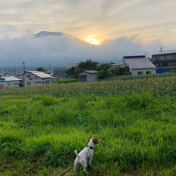 427c7f09 882b 4cd0 ba44 ea5e588515c3 1532424835533