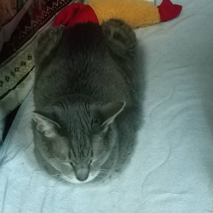 427c8338 5776 427f bd1c 0a77c2b98acf 1673302436966