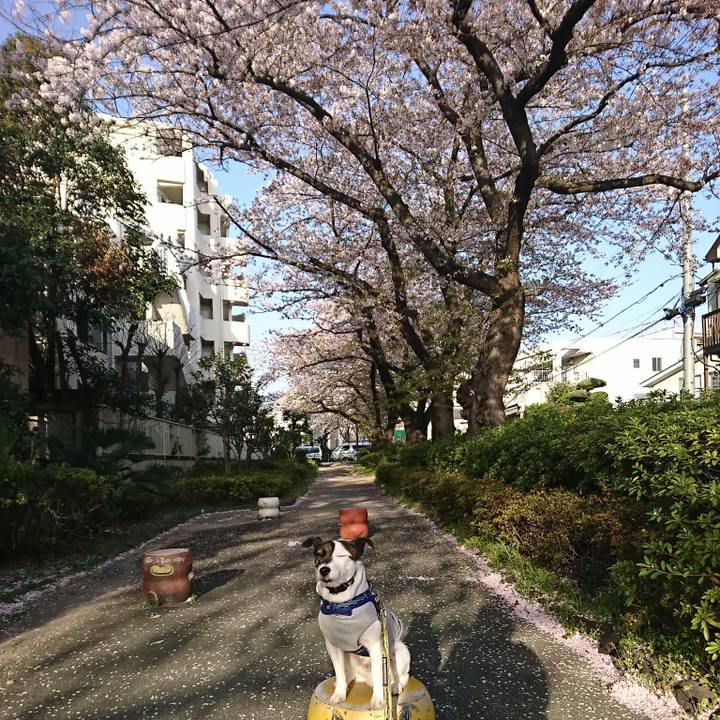 427c84f6 e299 40f7 a06d 53f84308bebb 1522361978987