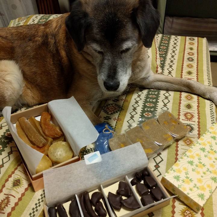 427c9079 e593 4a64 ae34 3161254e98a5 1550310735061