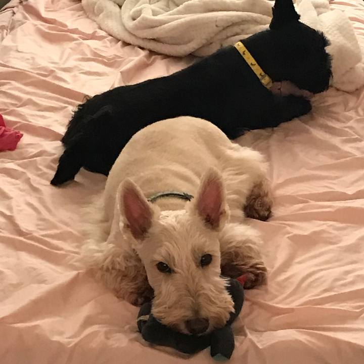 427cb4e5 748a 4c84 bab8 c0db1c62ccaa 1566703673857