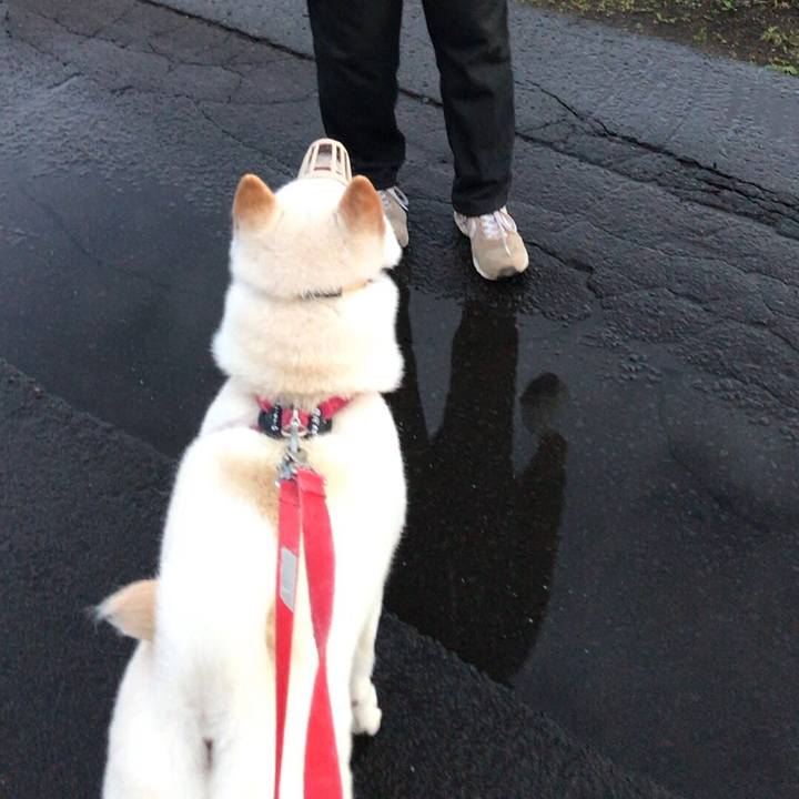 427cc630 75b0 4034 a161 2ee4886fc42c 1537668590502