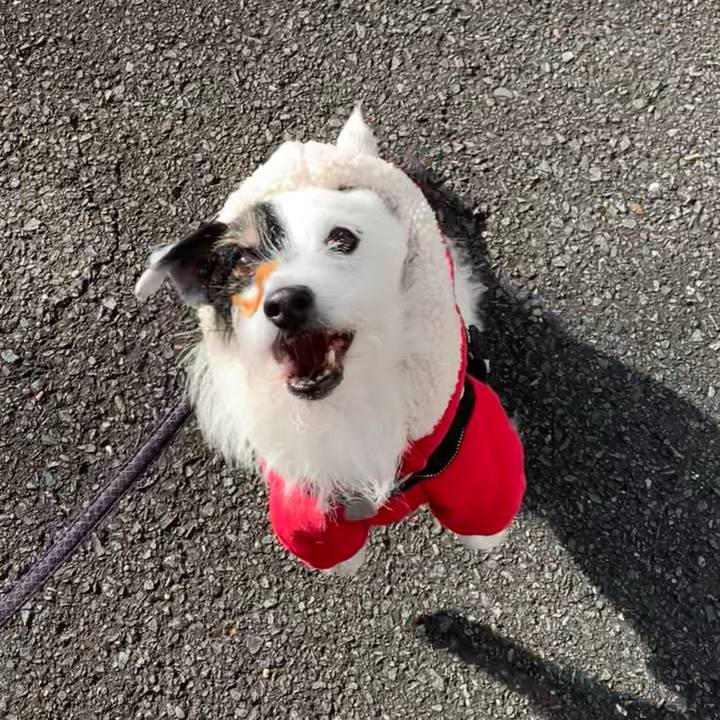 427cee9b c889 4844 881d c5e07b709974 1734568829151