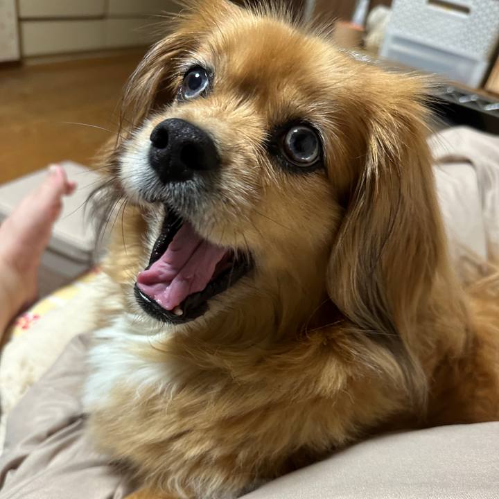 427d3992 4e85 4c87 8a93 044776e7edf0 1715808118426