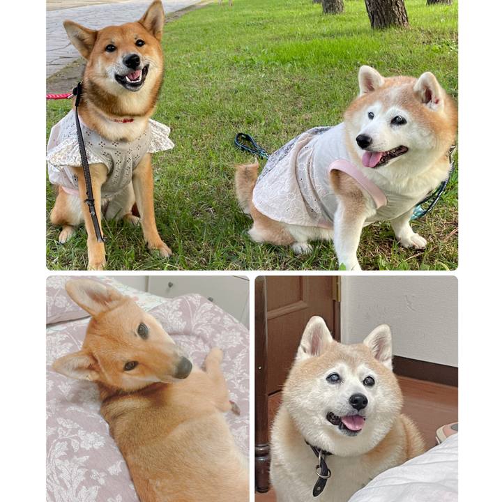 427d3e49 208f 48d8 9a0d a746b8bb4cd7 1672446964962