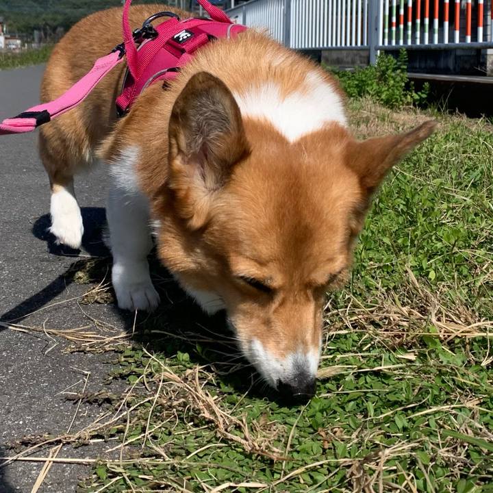 427d57a4 6b17 4755 9dc8 879e6930d4b3 1697863502874