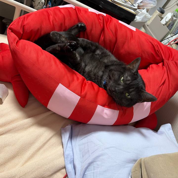 427d8bda 5f18 4a90 aacb c53580754dc8 1768573829709