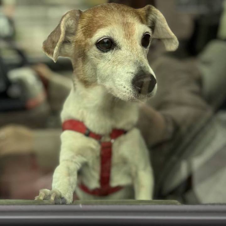 427da044 d28c 4e99 9e3d b05088cdd0cc 1765202899645