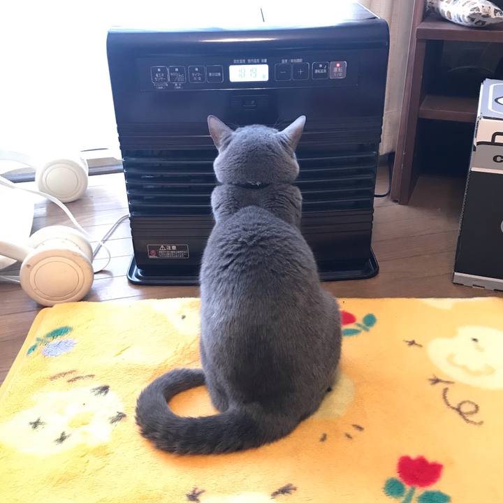 427e1df3 cca3 4ca5 a53e 26068dd1adf6 1578379632540