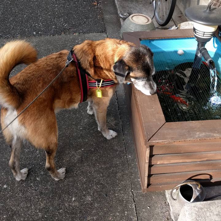 427e4fd5 5d8e 4067 8dba c911d617d462 1540946828101