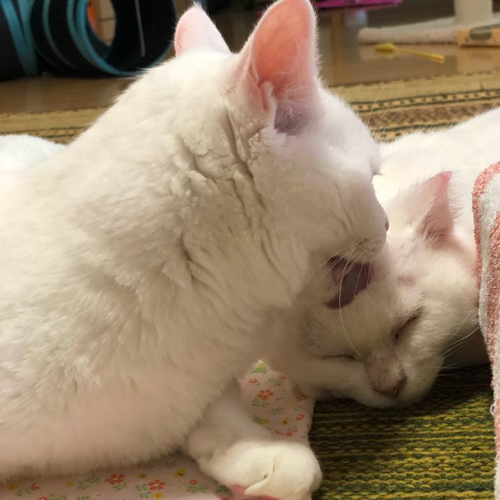 427e73f3 7e0e 497b b2bd 0b9891ef882d 1540084761455