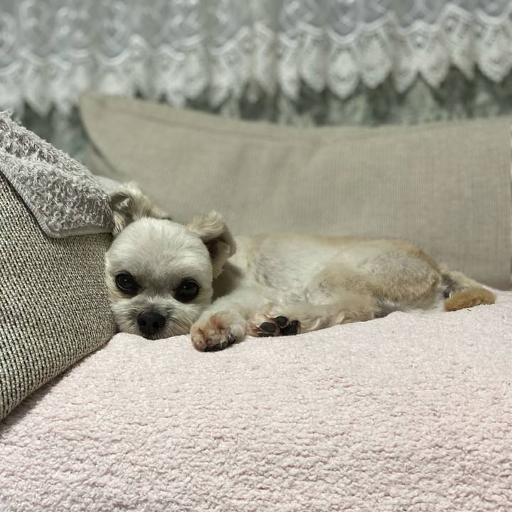 427eb4b7 3064 41f6 9fc8 c0ef451b3a7f 1655906679864