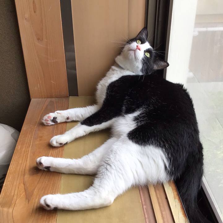 427ece58 68d1 40a2 a0d2 fef363479469 1720087456492