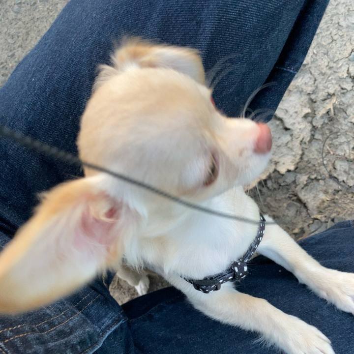 427efd39 36e7 426b bd61 dd9a4d2046db 1596537247007