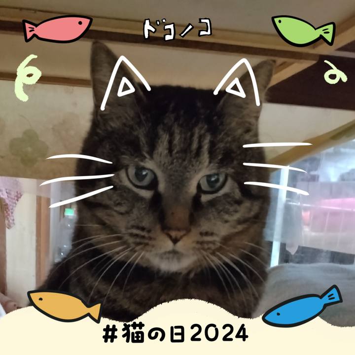 427f5a40 4d2d 4688 8f00 080cdd71a81d 1708573650058